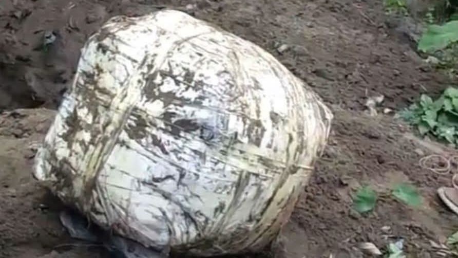 বাক্সবন্দি লাশ ও এআইয়ের ফাঁদে নীলফামারীর হত্যার রহস্য উন্মোচন